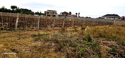 1/4 Plots For Sale In Eldoret Racecours Malel - Image 1