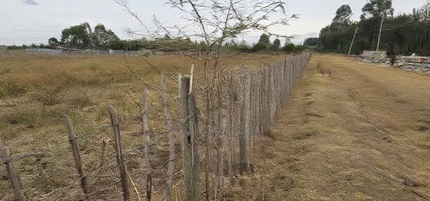 1/4 Plots For Sale In Eldoret Racecours Malel