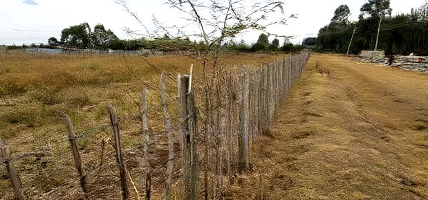 1/4 Plots For Sale In Eldoret Racecours Malel