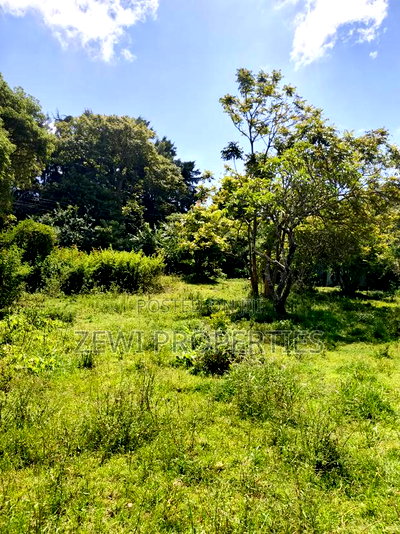 One Acre Karen - Image 1