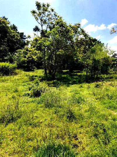 One Acre Karen - Image 5