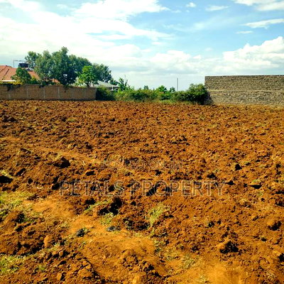 1/2 Acre For Sale In Kabarak Chergei - Image 4