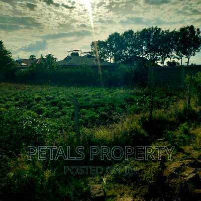 1/2 Acre For Sale In Kabarak Chergei - Image 2