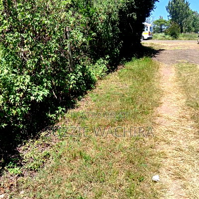 100x100ft Plot Touching Kenol Marua Highway at Kenol - Image 5