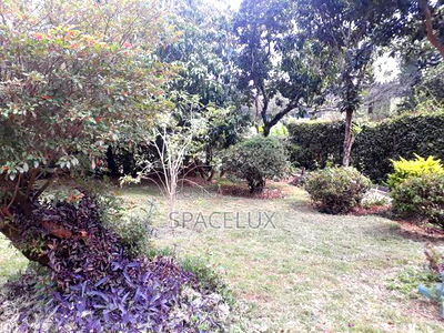 Prime 1 Acre for a Mall, Restaurant or School - Image 4