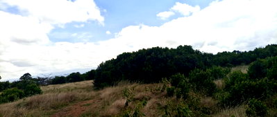 11-Acre Commercial Land at KSh 1.5M per Acre