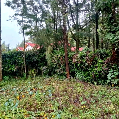 An Eighth of an Acre Plot Ngong Overlooking Ngong Hills 3.5m - Image 5
