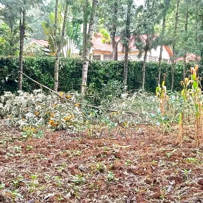 An Eighth of an Acre Plot Ngong Overlooking Ngong Hills 3.5m - Image 6