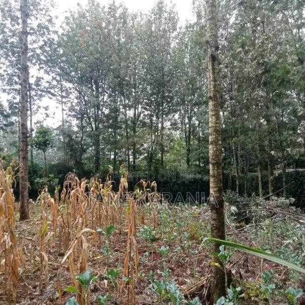 An Eighth of an Acre Plot Ngong Overlooking Ngong Hills 3.5m