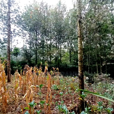 An Eighth of an Acre Plot Ngong Overlooking Ngong Hills 3.5m - Image 7