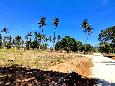 Plots for Sale Kilifi Chumani - Image 2