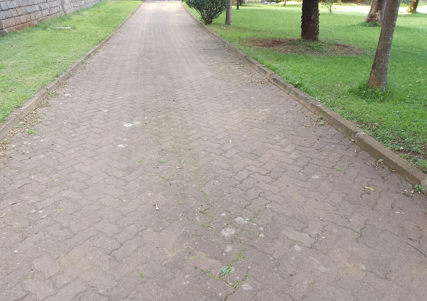 3/4 Acre Kileleshwa Plot with Garden