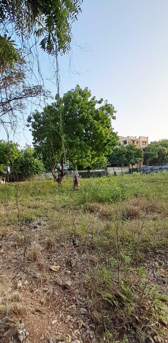 Pet Friendly 1-Acre Plot at KSh 85M