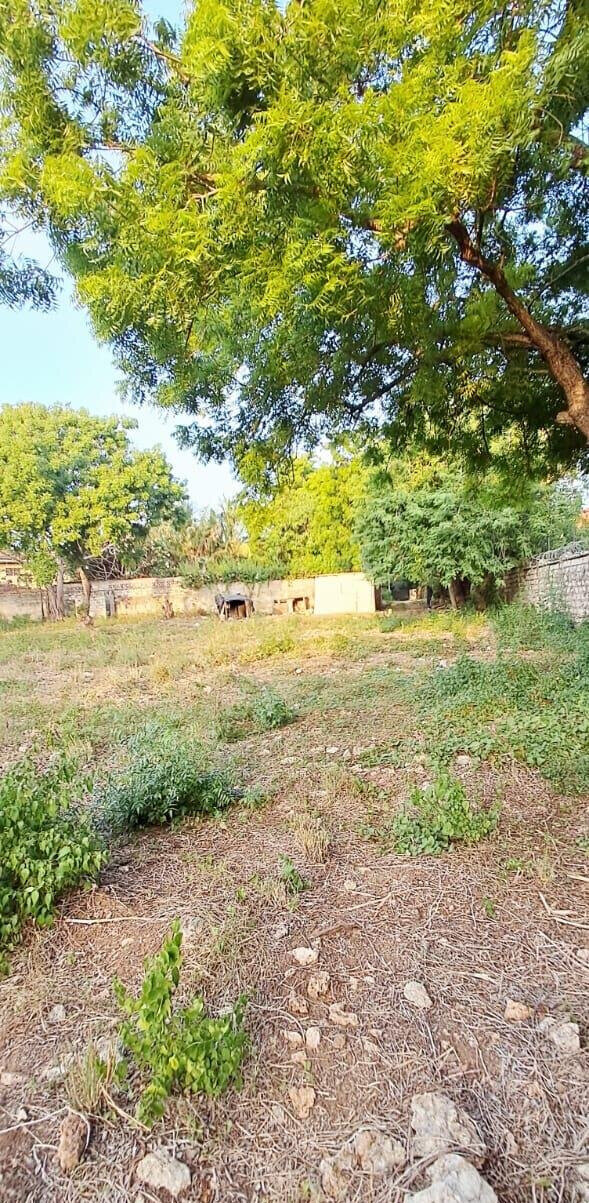 Pet Friendly 1-Acre Plot at KSh 85M