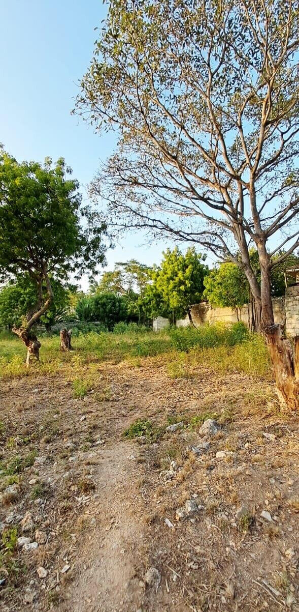Pet Friendly 1-Acre Plot at KSh 85M