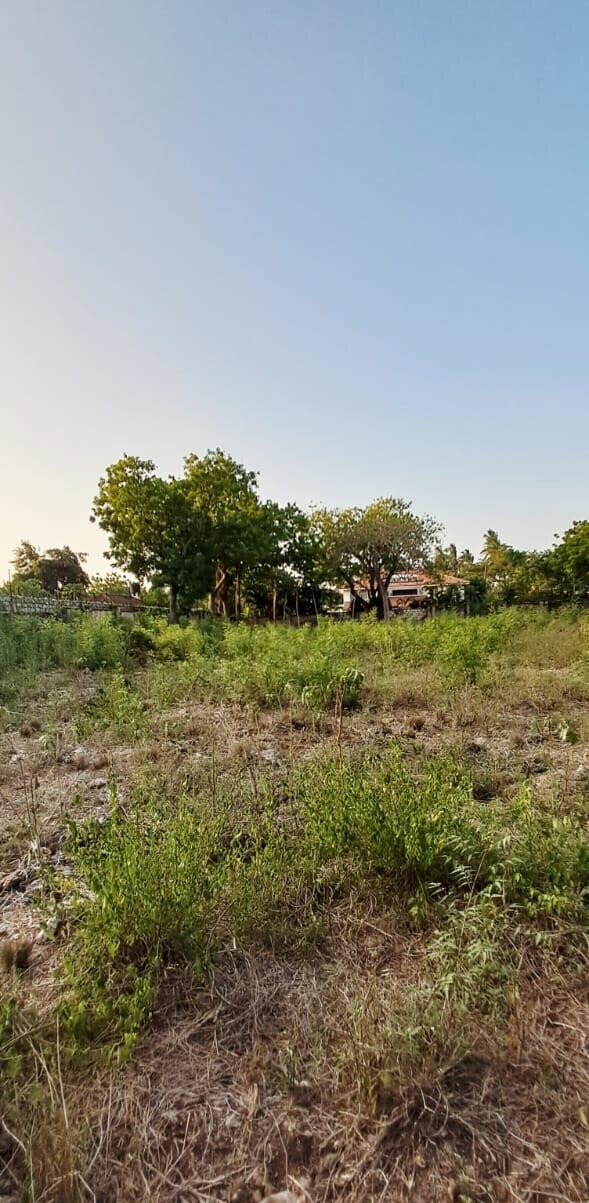 Pet Friendly 1-Acre Plot at KSh 85M