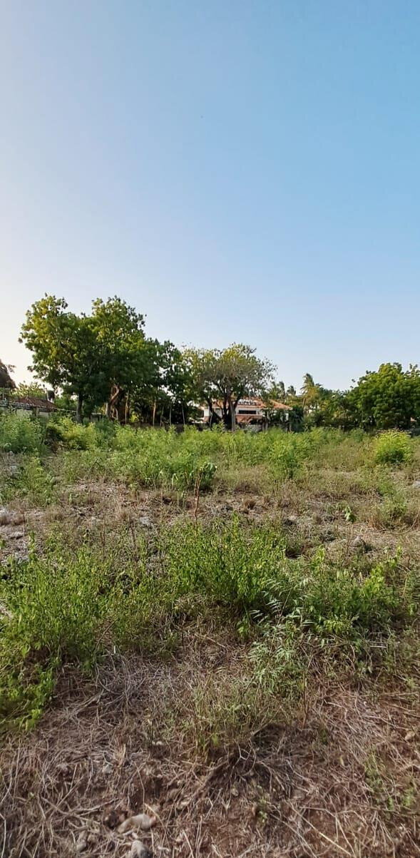 Pet Friendly 1-Acre Plot at KSh 85M