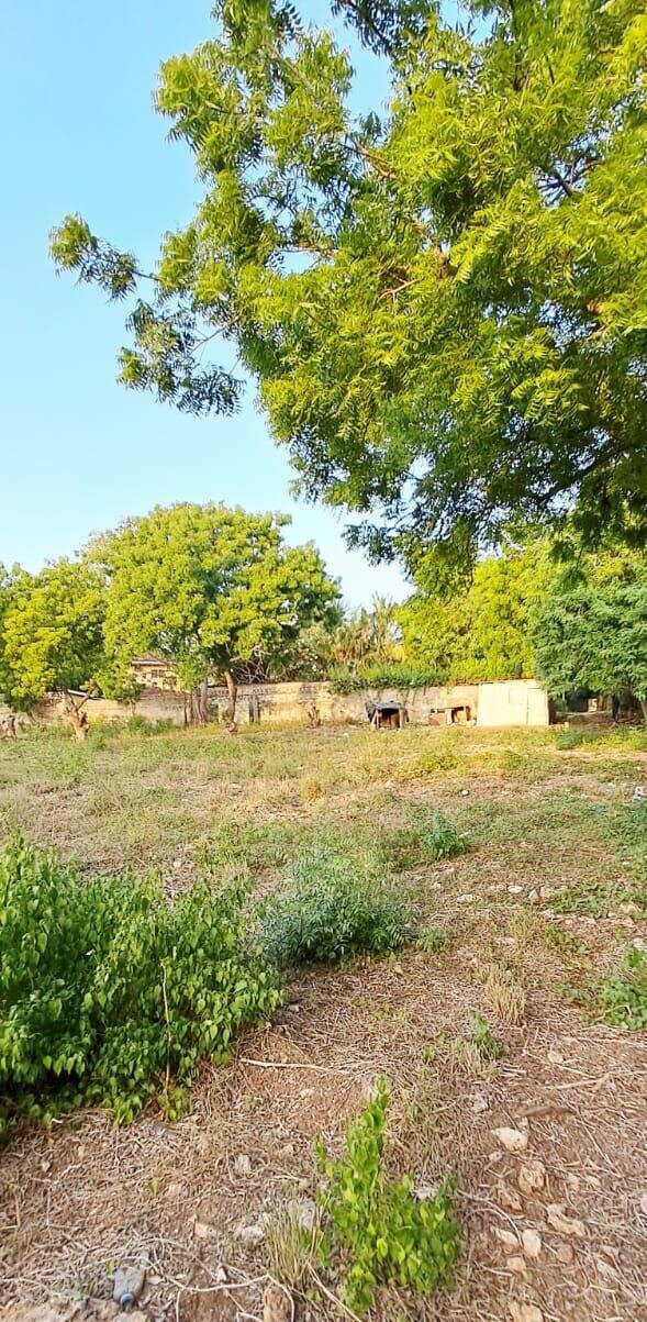 Pet Friendly 1-Acre Plot at KSh 85M