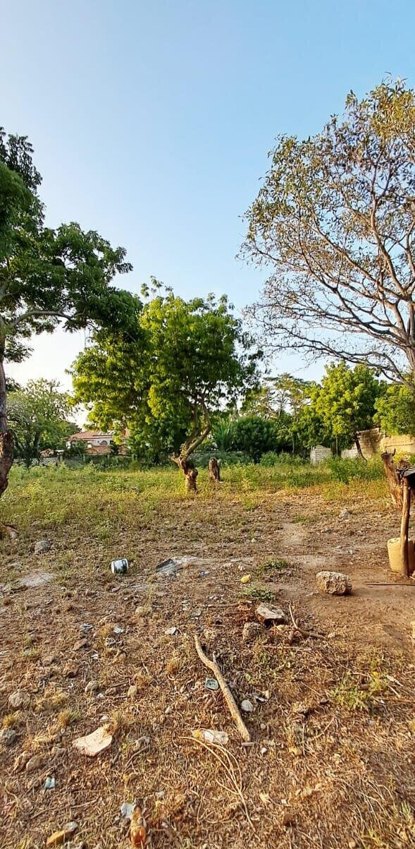 Pet Friendly 1-Acre Plot at KSh 85M