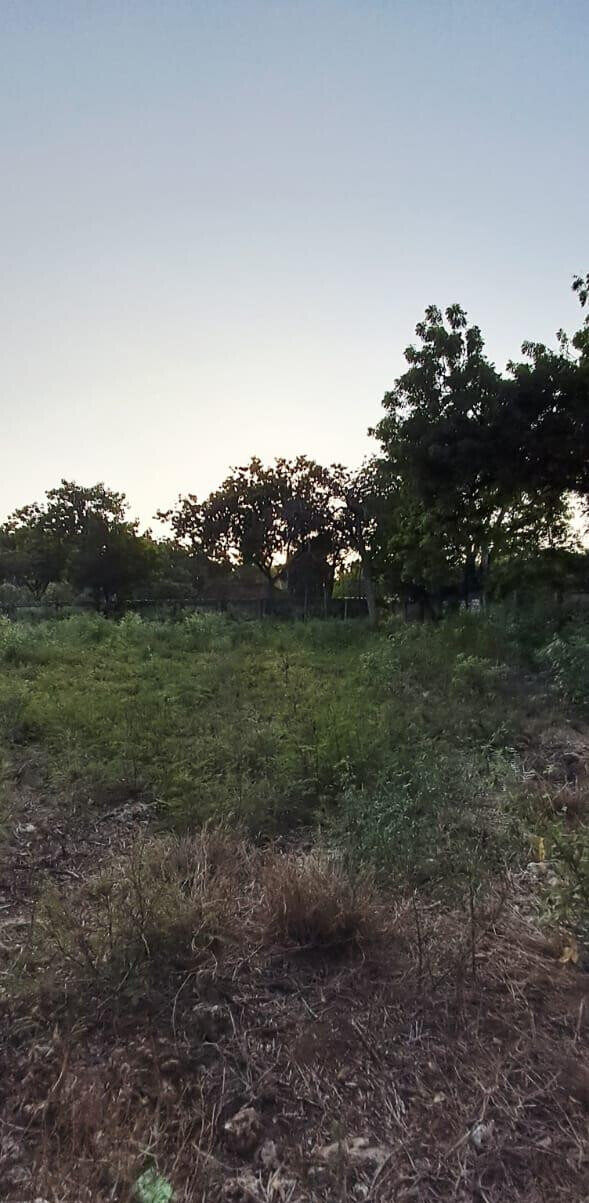 Pet Friendly 1-Acre Plot at KSh 85M