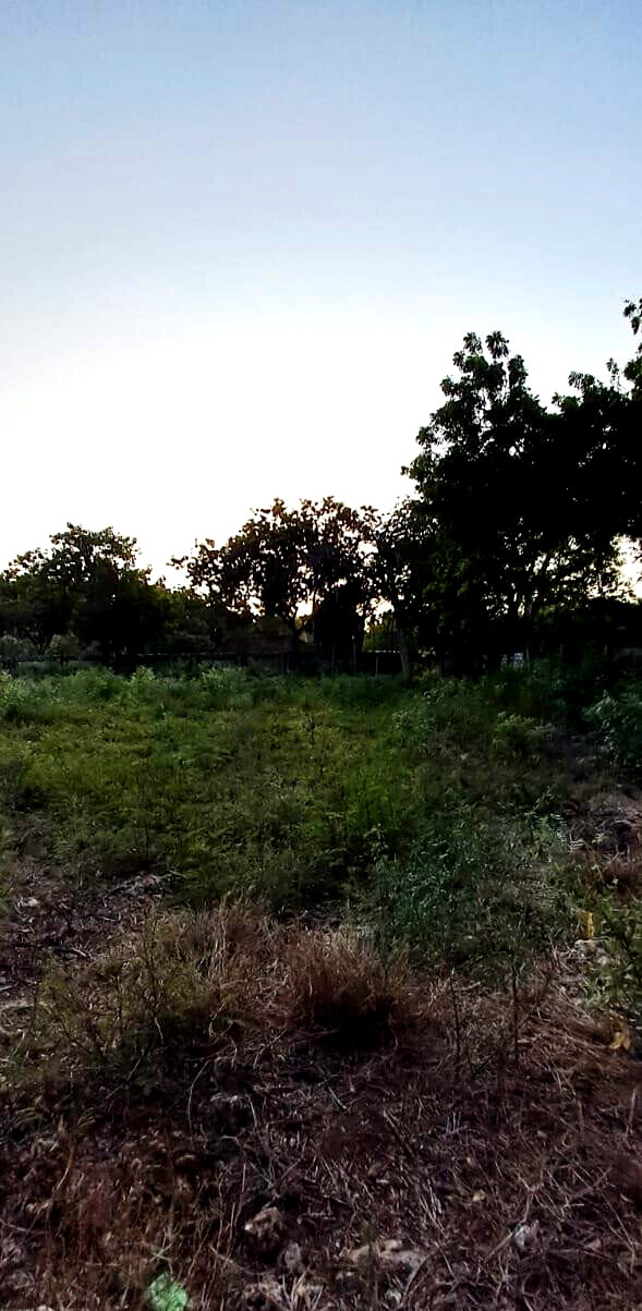 Pet Friendly 1-Acre Plot at KSh 85M