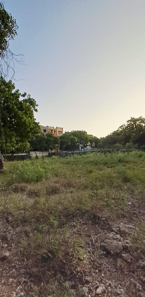 Pet Friendly 1-Acre Plot at KSh 85M