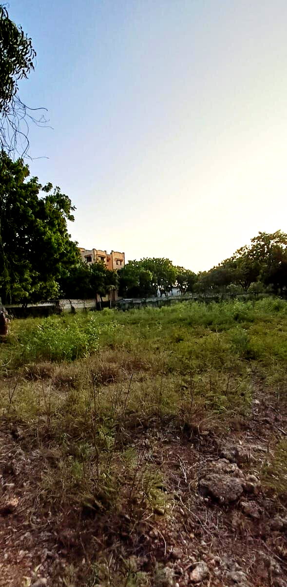 Pet Friendly 1-Acre Plot at KSh 85M