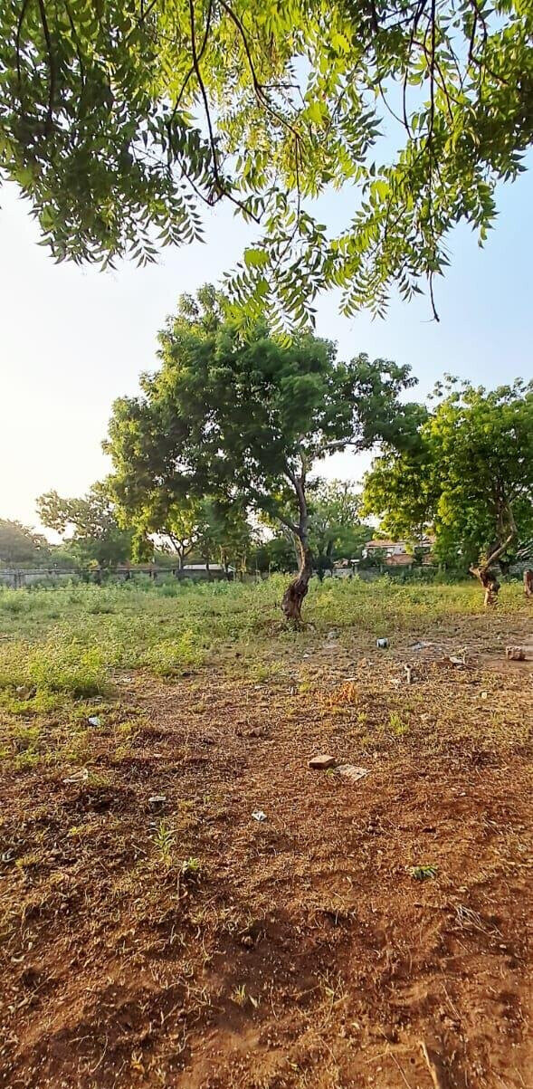Pet Friendly 1-Acre Plot at KSh 85M
