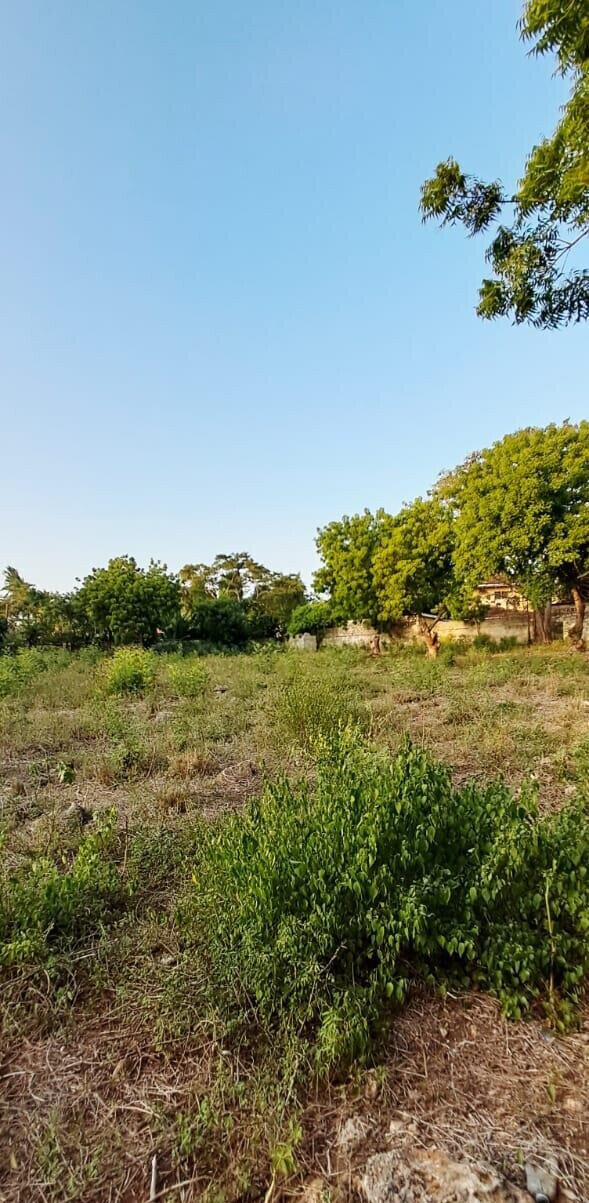 Pet Friendly 1-Acre Plot at KSh 85M
