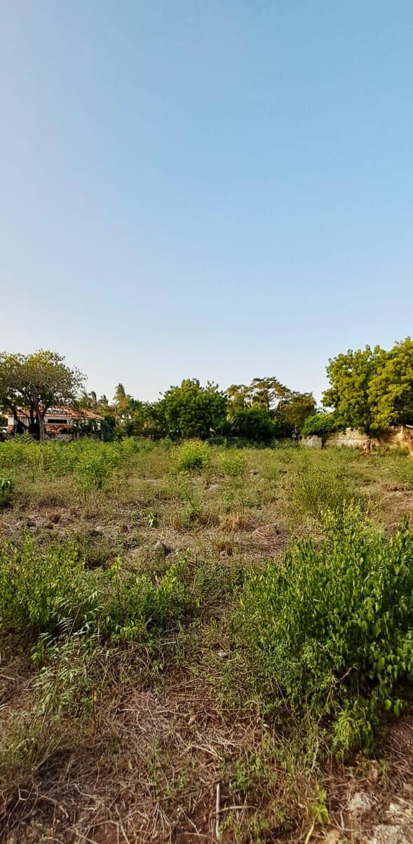 Pet Friendly 1-Acre Plot at KSh 85M