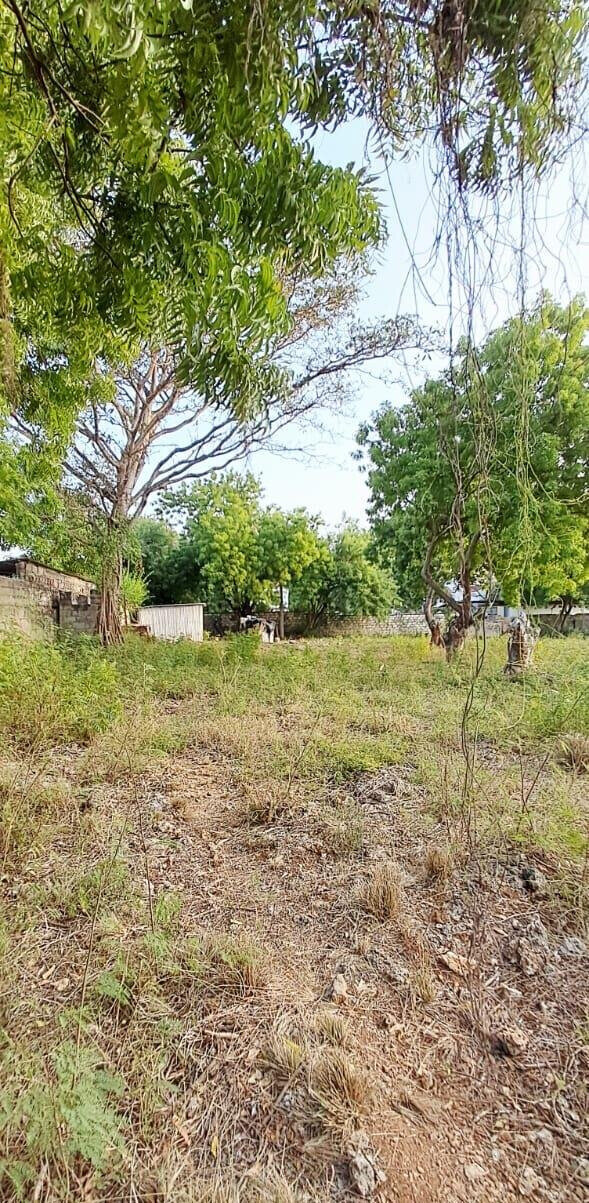 Pet Friendly 1-Acre Plot at KSh 85M