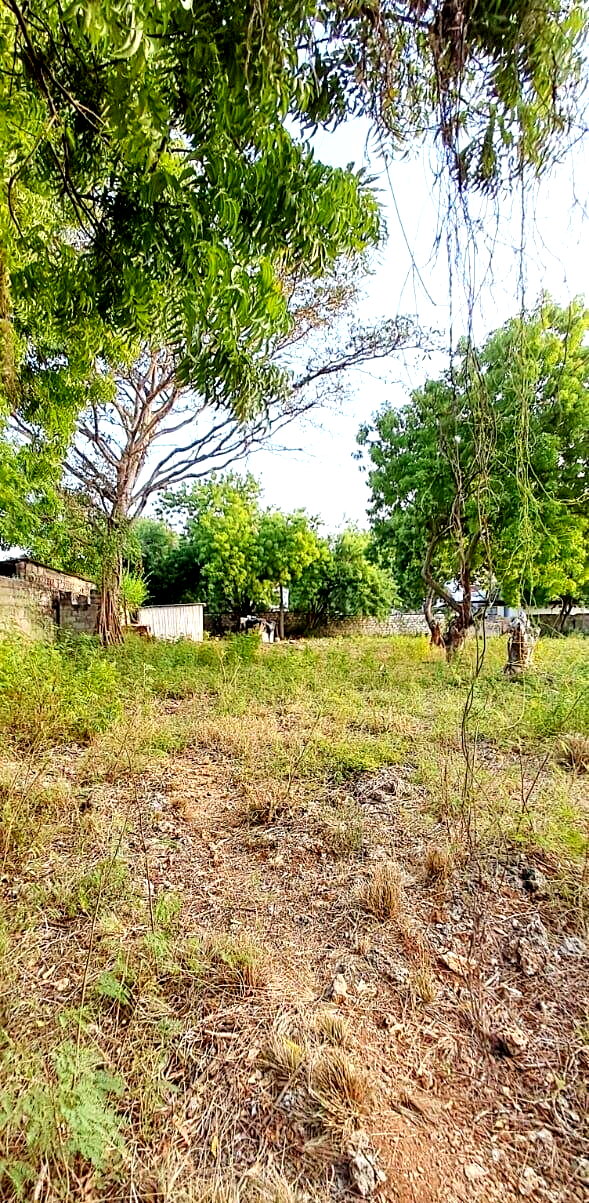 Pet Friendly 1-Acre Plot at KSh 85M