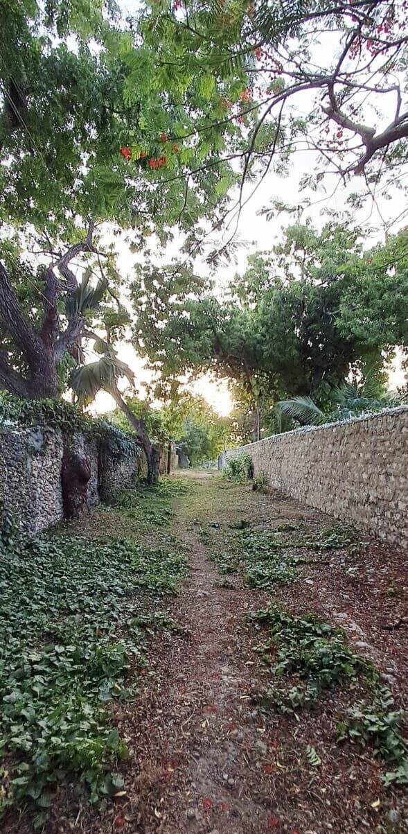 Pet Friendly 1-Acre Plot at KSh 85M