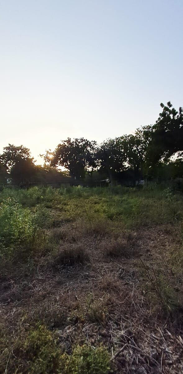 Pet Friendly 1-Acre Plot at KSh 85M