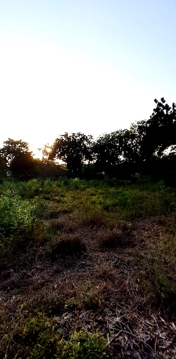 Pet Friendly 1-Acre Plot at KSh 85M