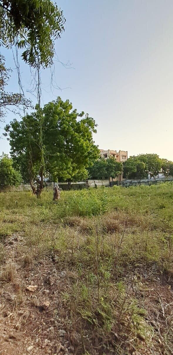 Pet Friendly 1-Acre Plot at KSh 85M