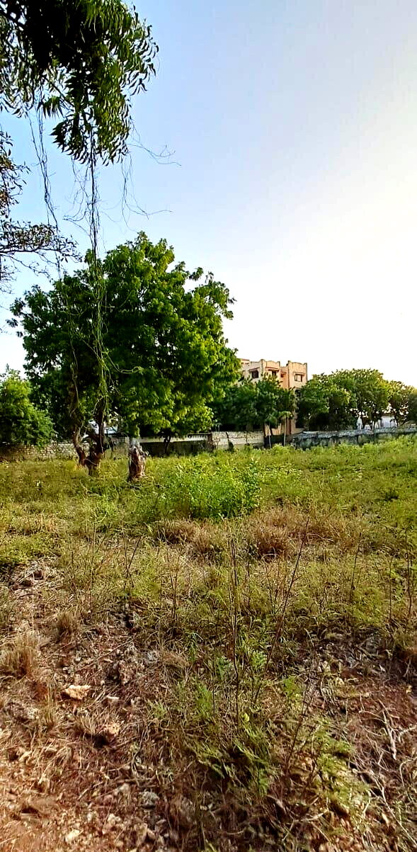 Pet Friendly 1-Acre Plot at KSh 85M