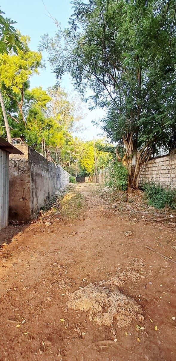 Pet Friendly 1-Acre Plot at KSh 85M