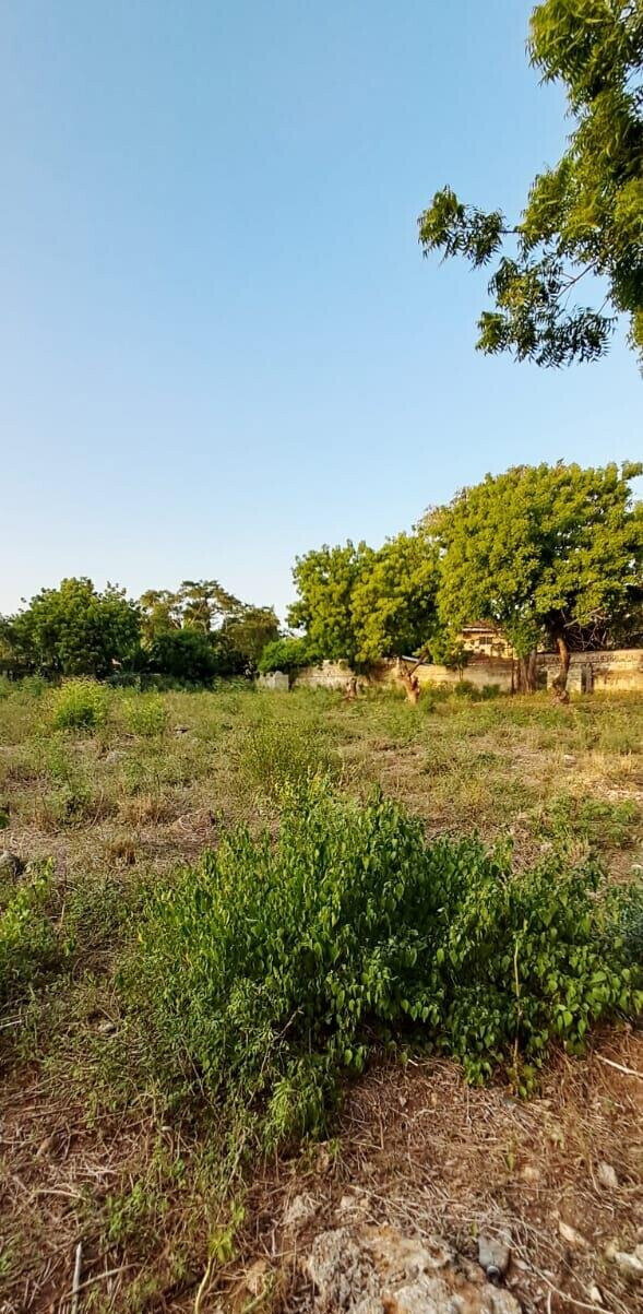 Pet Friendly 1-Acre Plot at KSh 85M