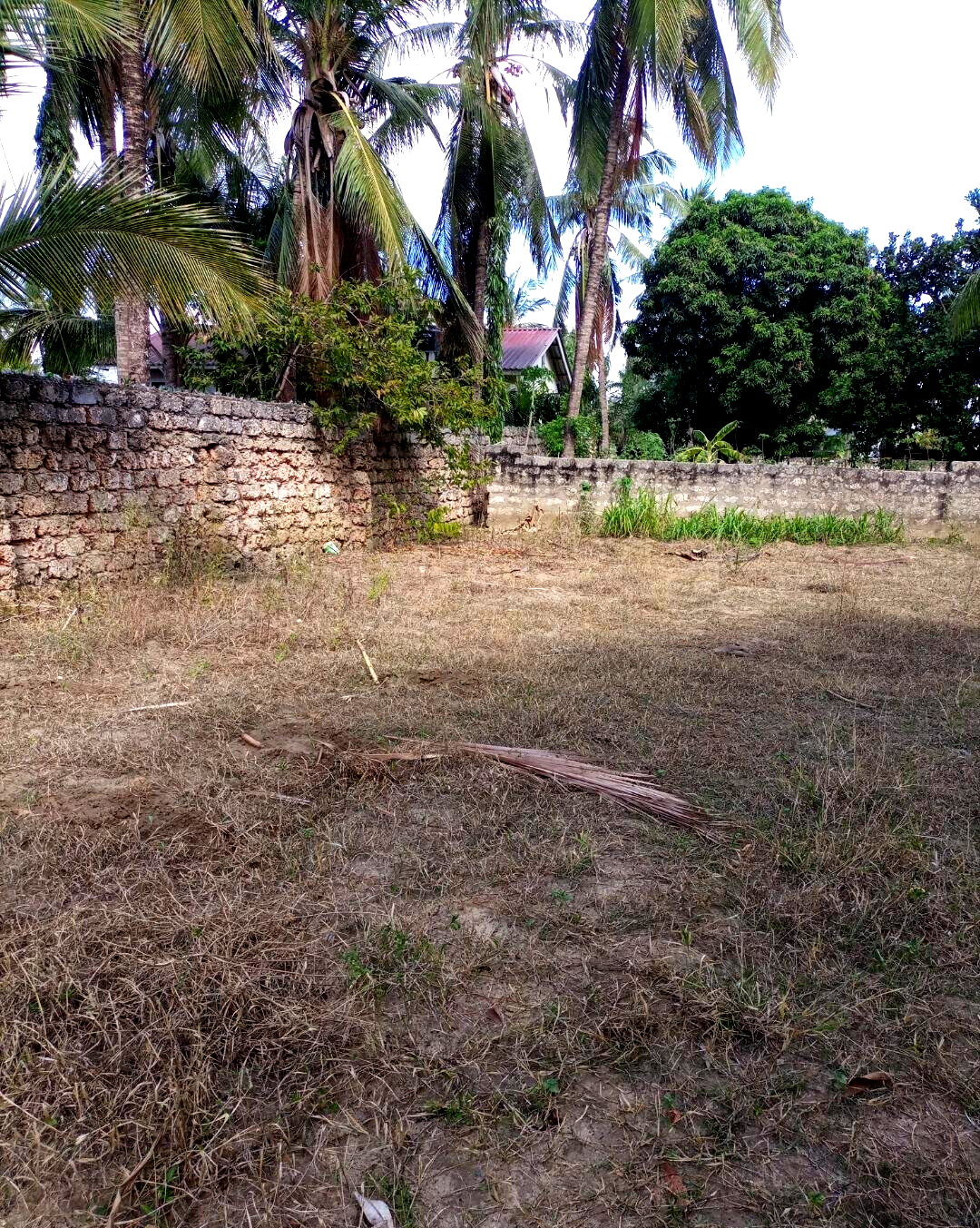 KSh 3M Utange Land Deal