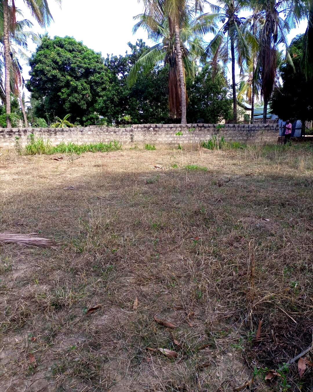 KSh 3M Utange Land Deal