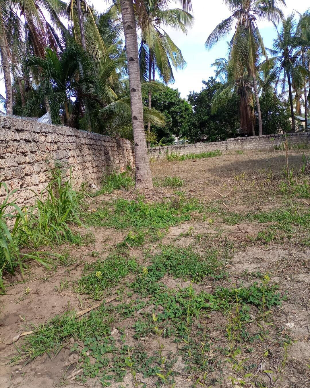 KSh 3M Utange Land Deal