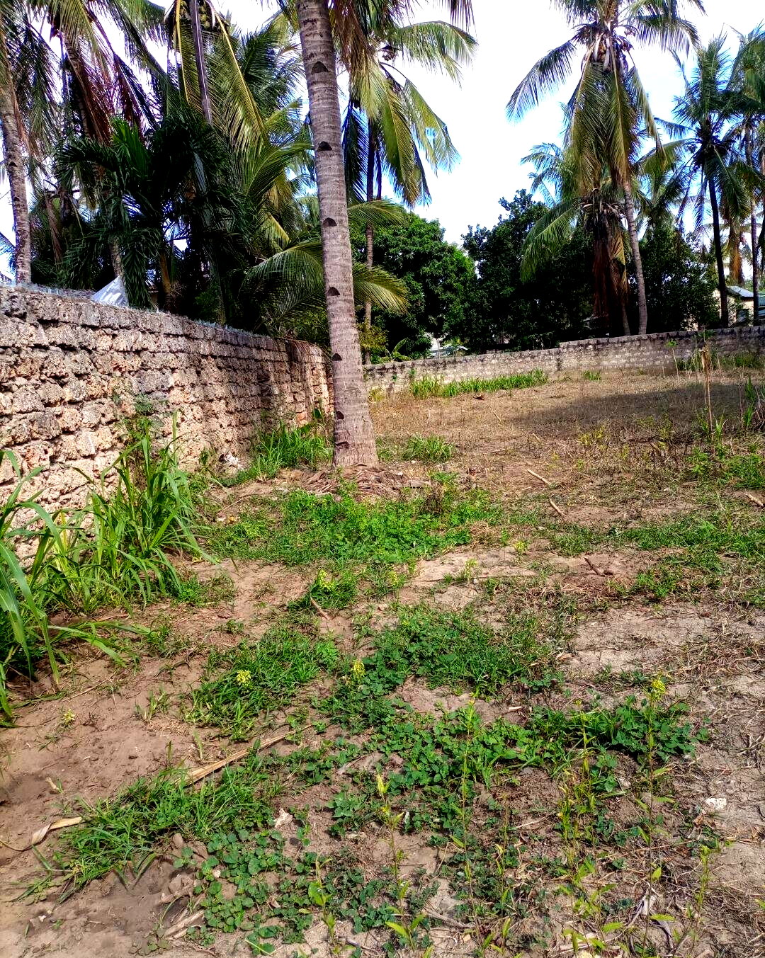 KSh 3M Utange Land Deal