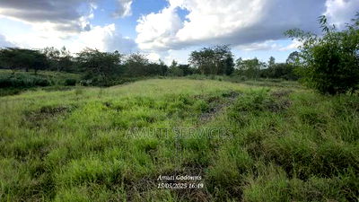 37 Acres For Sale/Jv - Image 3