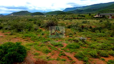 Kikuyu, Ndiuni - Image 5