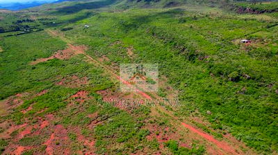 Kikuyu, Ndiuni - Image 2