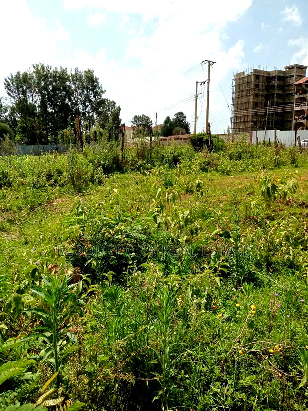1/4 PLOT Annex With Title