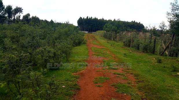 1/4 PLOT Annex With Title