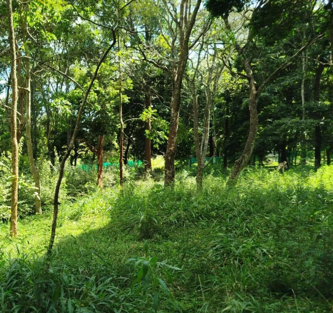 Half Acre Karen Plot at KSh 45M