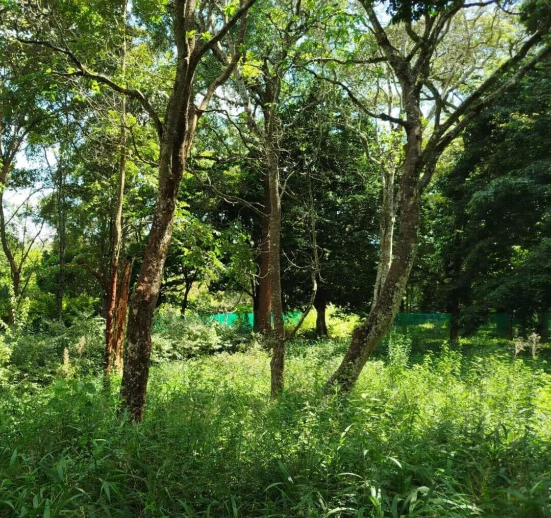 Half Acre Karen Plot at KSh 45M